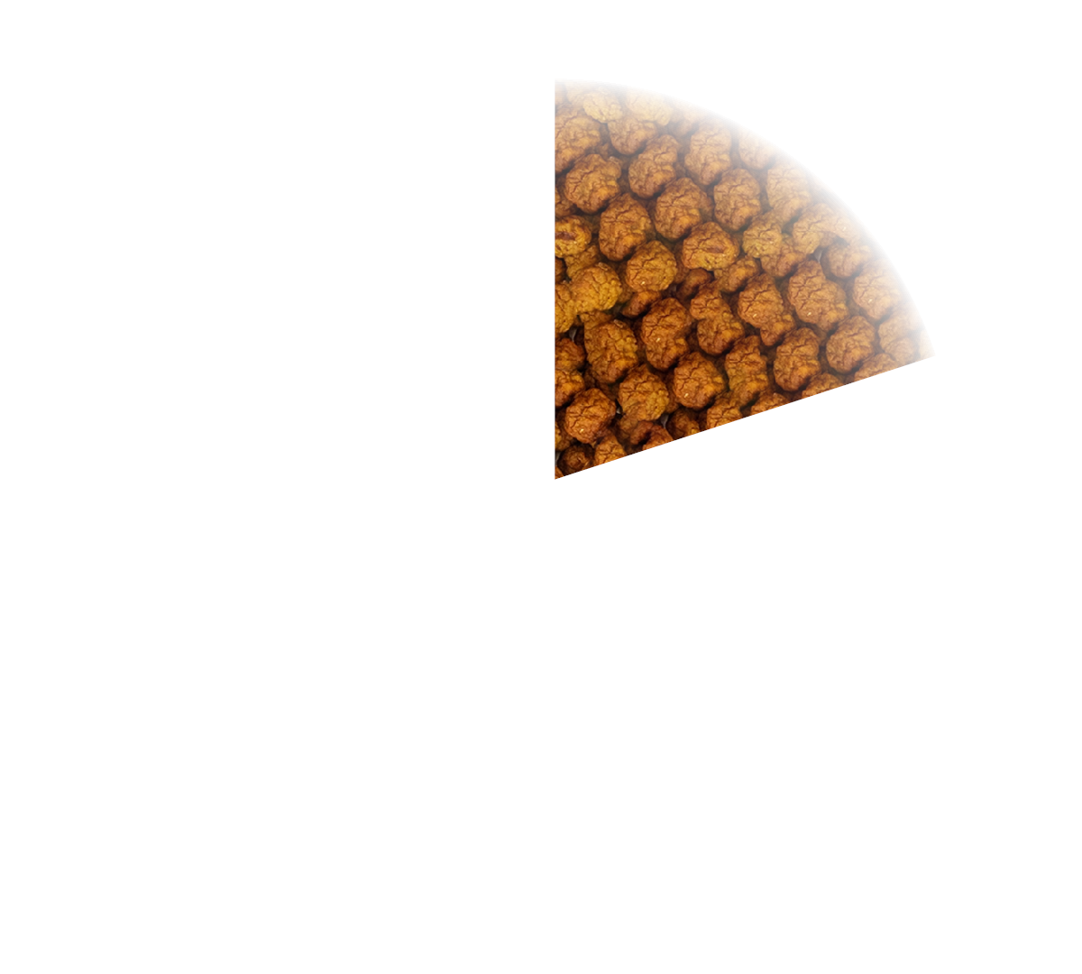 PARTYPAN PLUGIN_#1_05