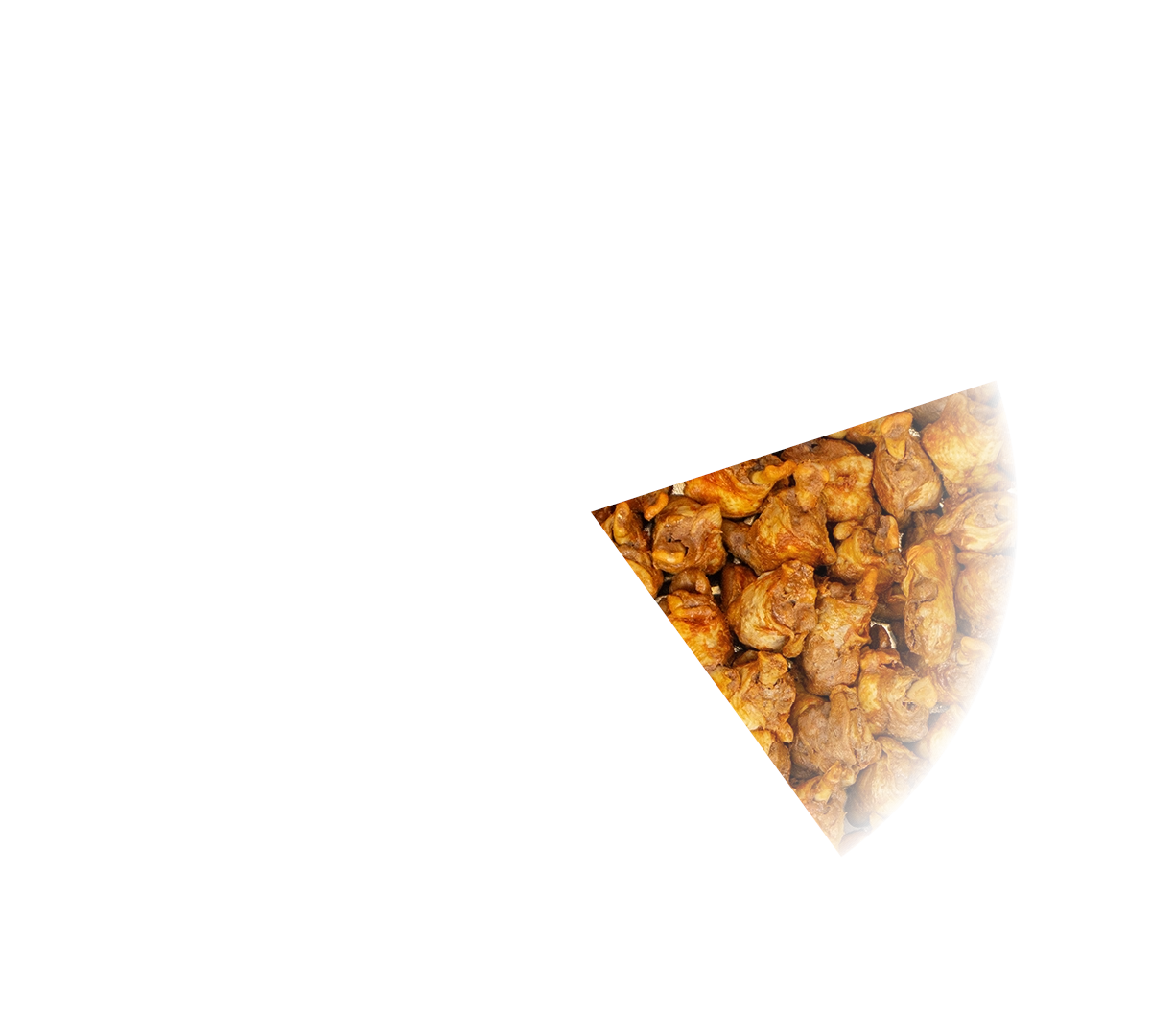 PARTYPAN PLUGIN_#1_20