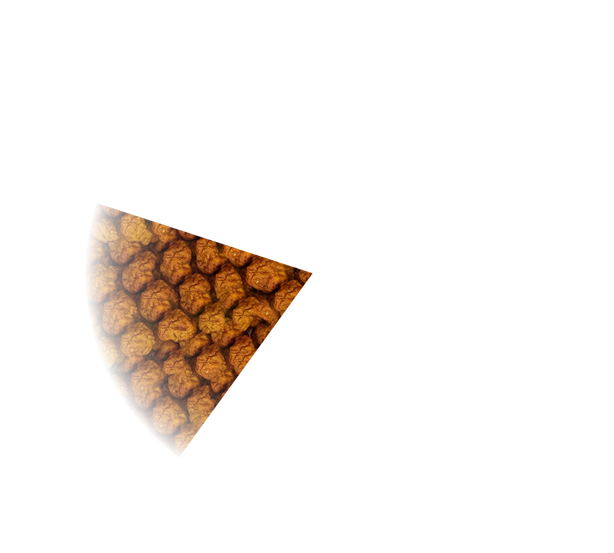 PARTYPAN PLUGIN_#1_41