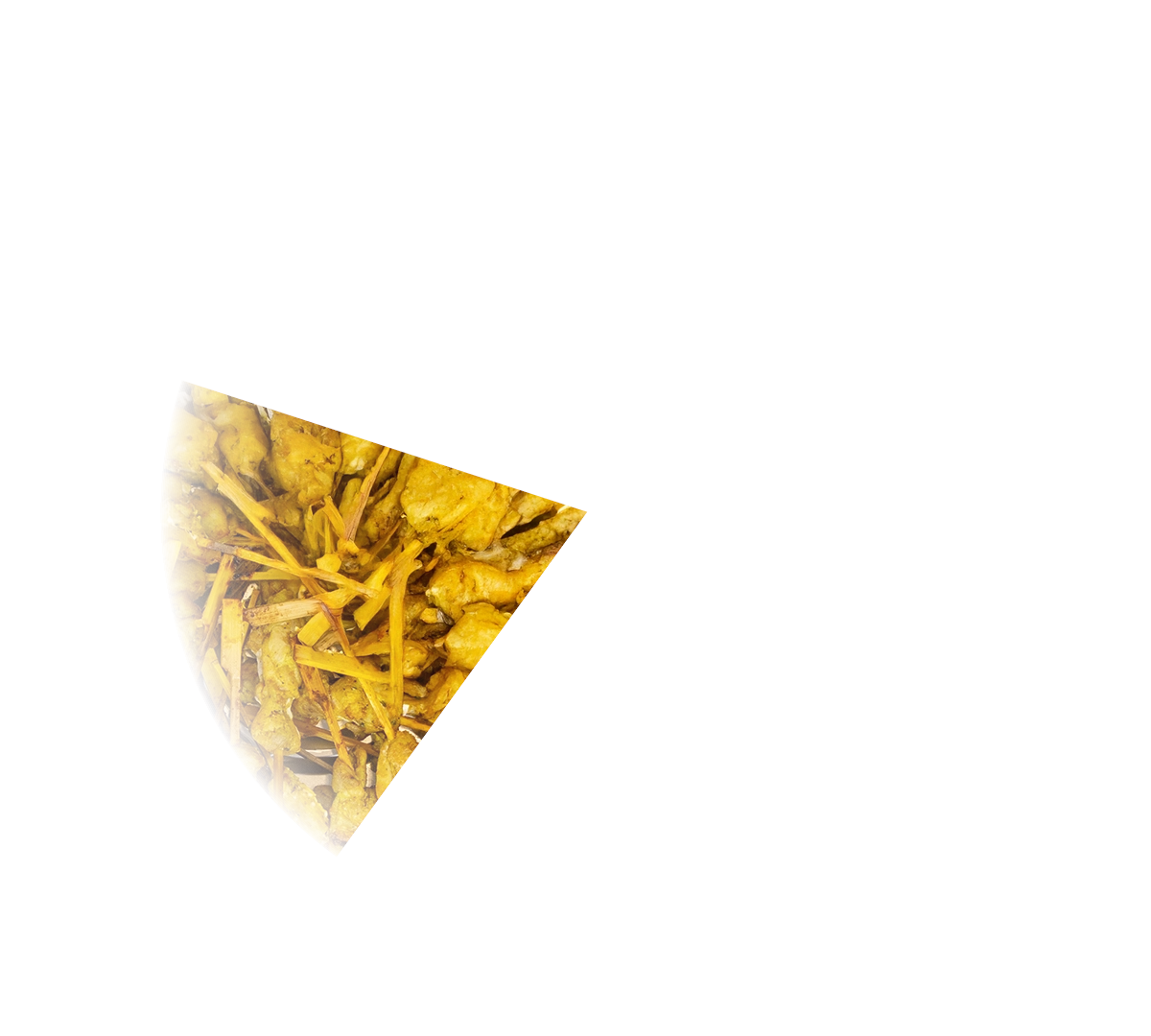 PARTYPAN PLUGIN_#1_43