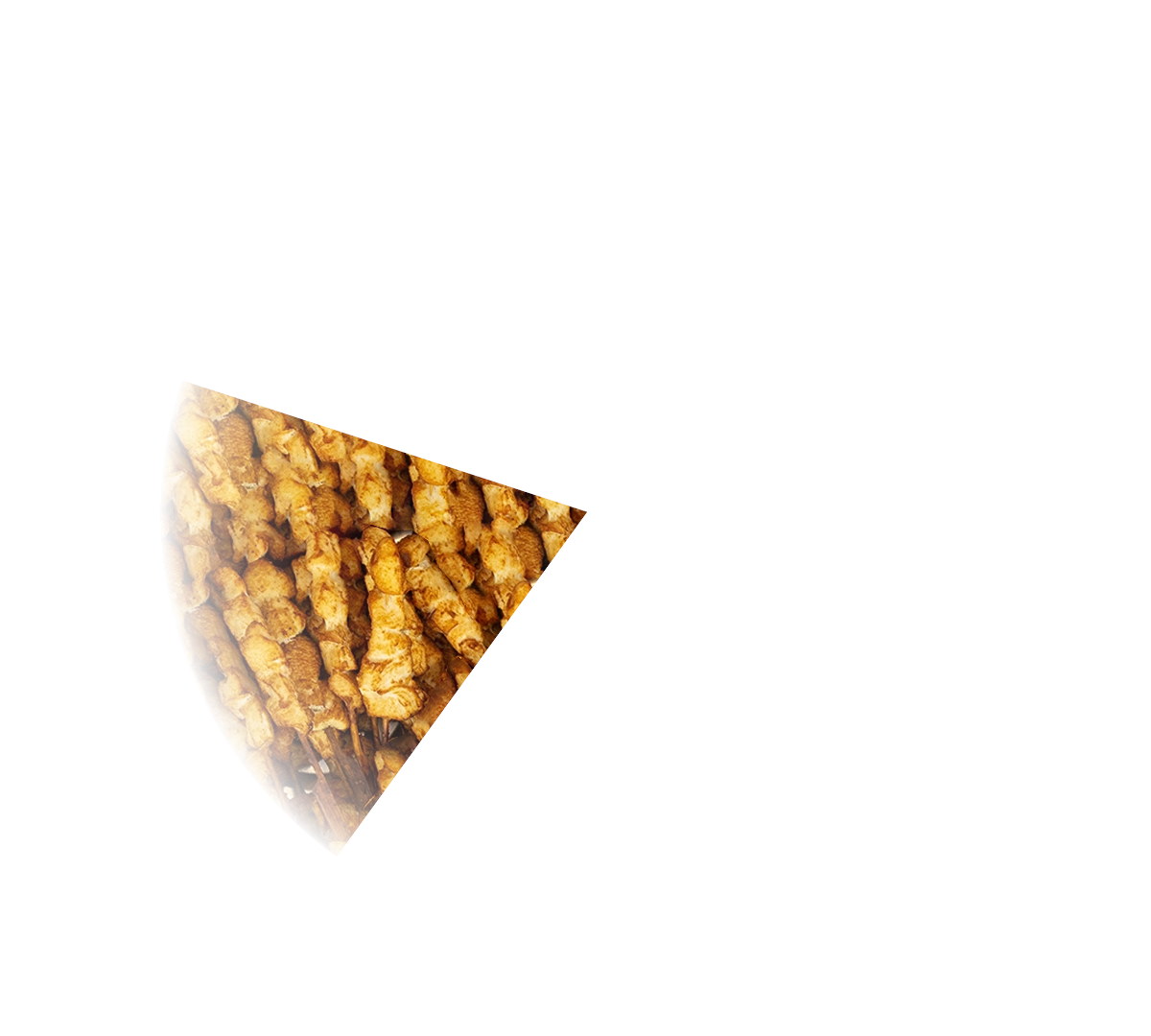 PARTYPAN PLUGIN_#1_45