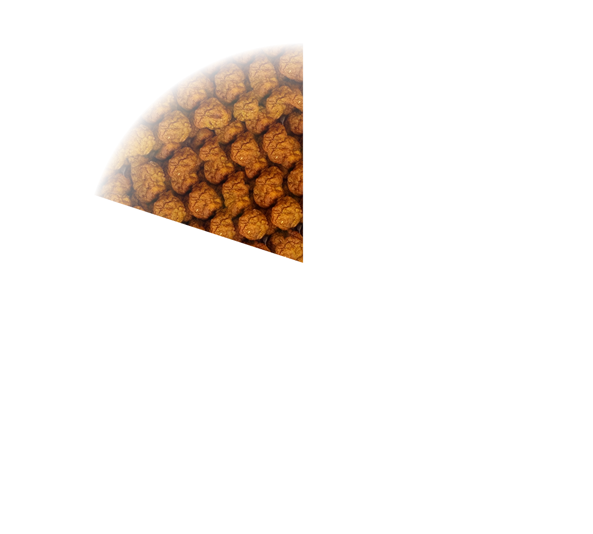 PARTYPAN PLUGIN_#1_53