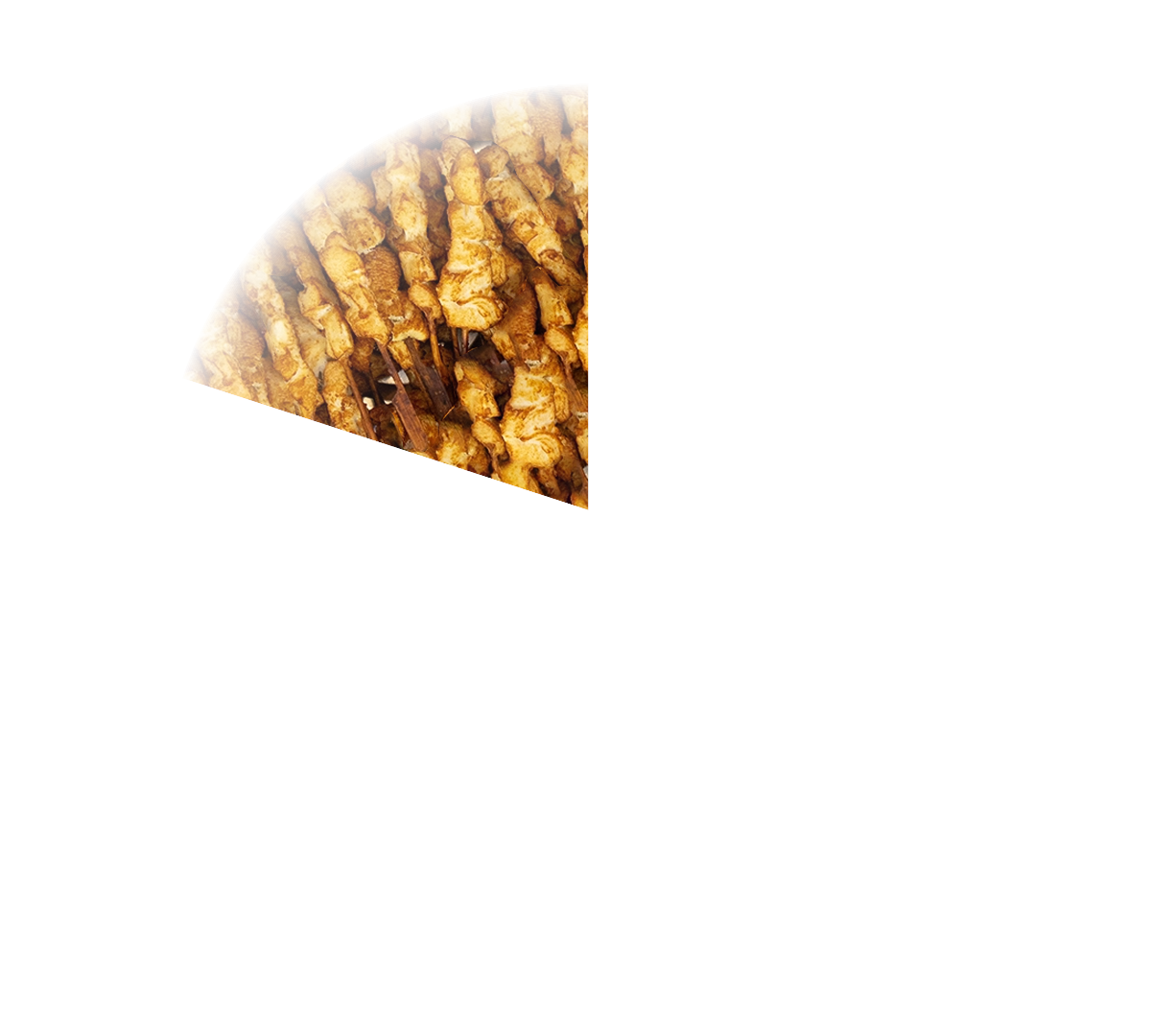 PARTYPAN PLUGIN_#1_57