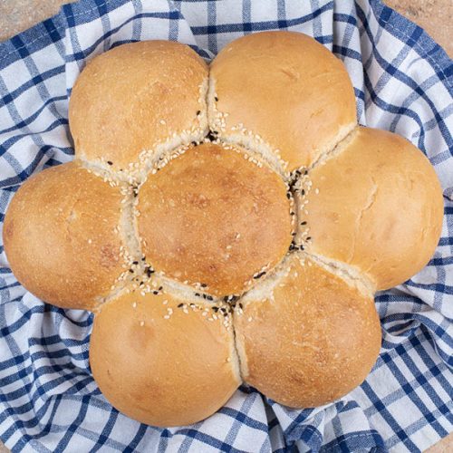 Breekbrood Wit (12 Bols)